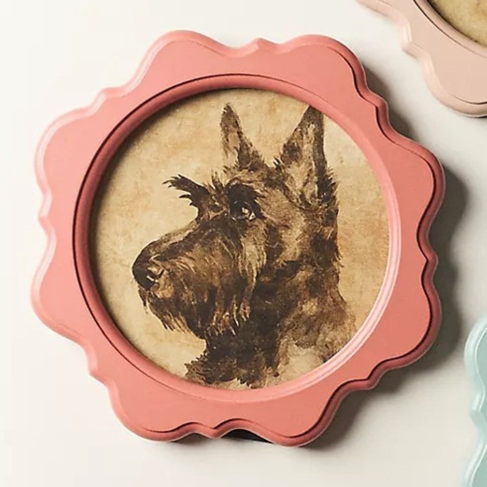 Anthropologie Framed Art Print Scottie Dog Terrier Pink Scallop Wall Decor